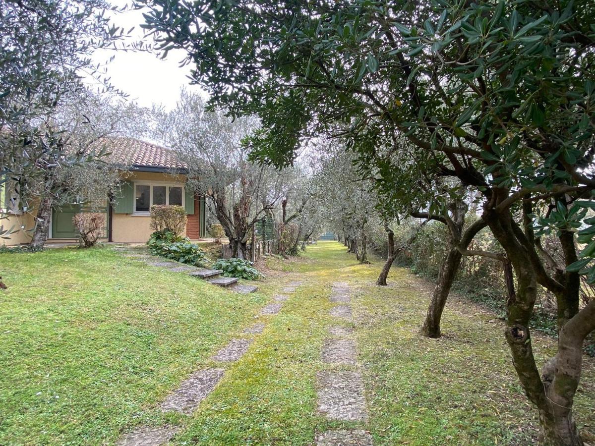 Villa Sweet Flower - With Private Pool And Garden Manerba del Garda Ngoại thất bức ảnh